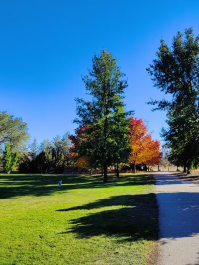 Wheatland Park - Reno, NV