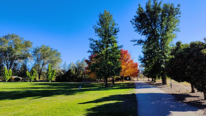 Wheatland Park - Reno, NV