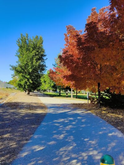 Wheatland Park - Reno, NV