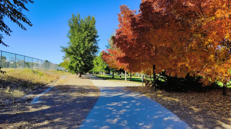 Wheatland Park - Reno, NV
