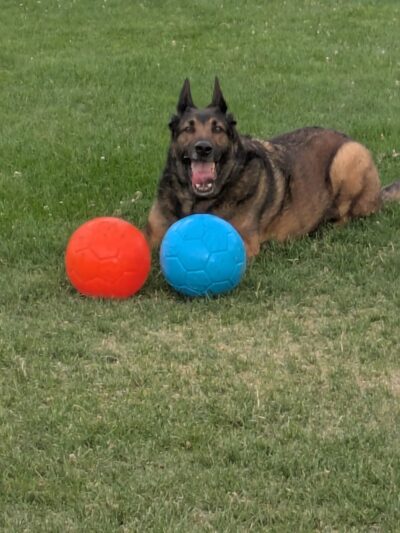 Wilkinson Park - Reno, NV