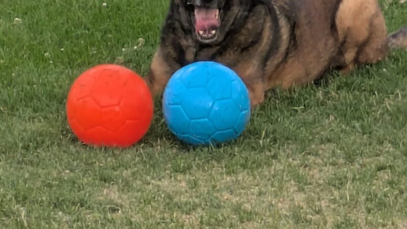 Wilkinson Park - Reno, NV