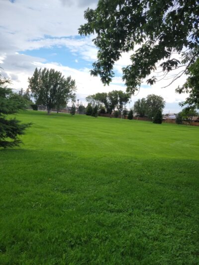 Wilkinson Park - Reno, NV