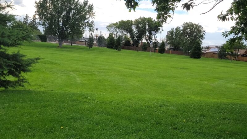 Wilkinson Park - Reno, NV