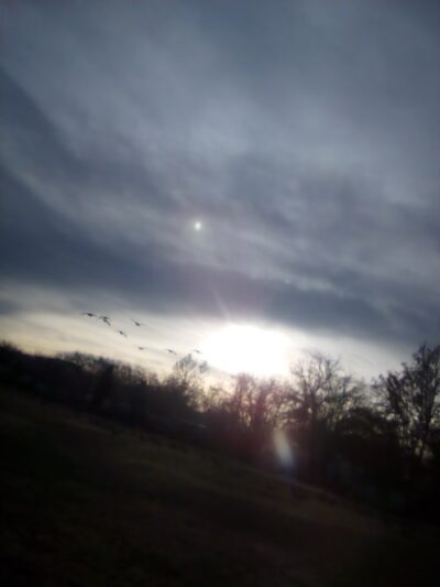 Yori Park - Reno, NV