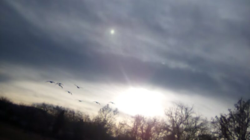 Yori Park - Reno, NV