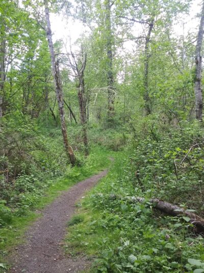 Coalfield Park - Renton, WA