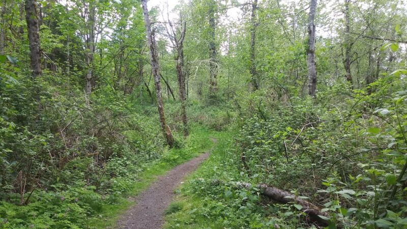 Coalfield Park - Renton, WA