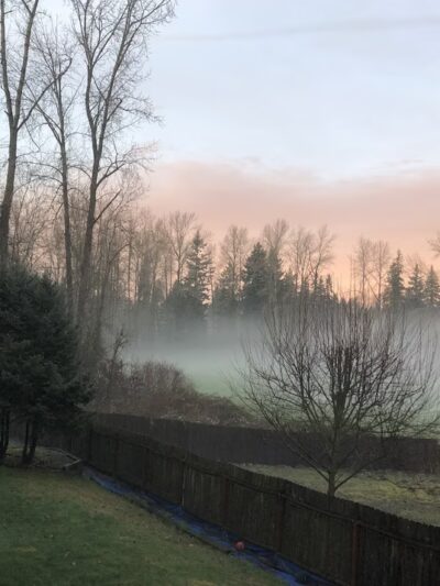 Cascade Park - Renton, WA