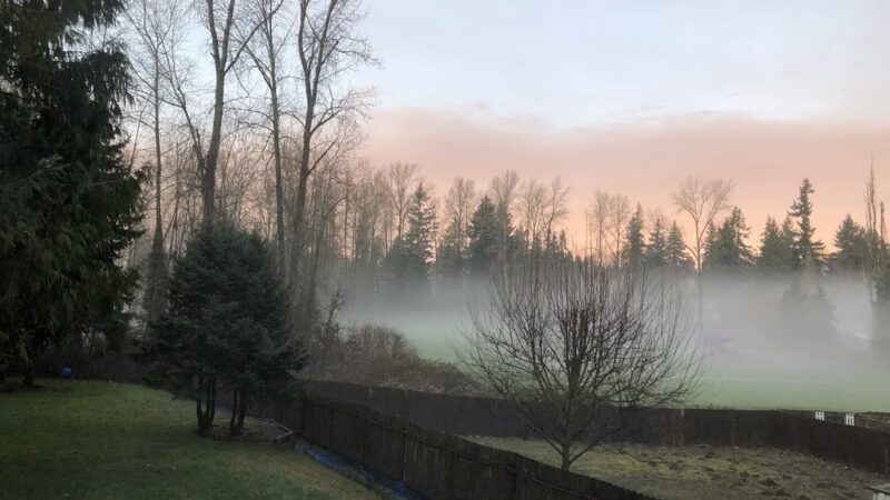 Cascade Park - Renton, WA