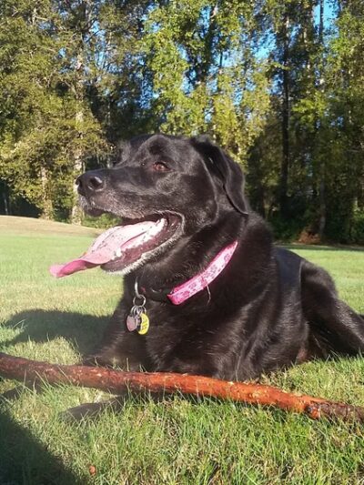 Cascade Park - Renton, WA