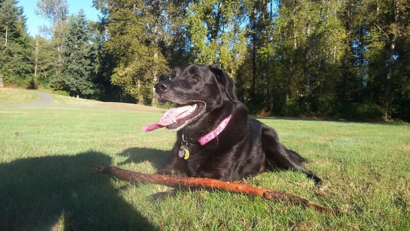 Cascade Park - Renton, WA