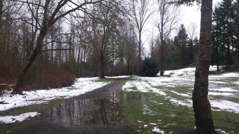 Cascade Park - Renton, WA