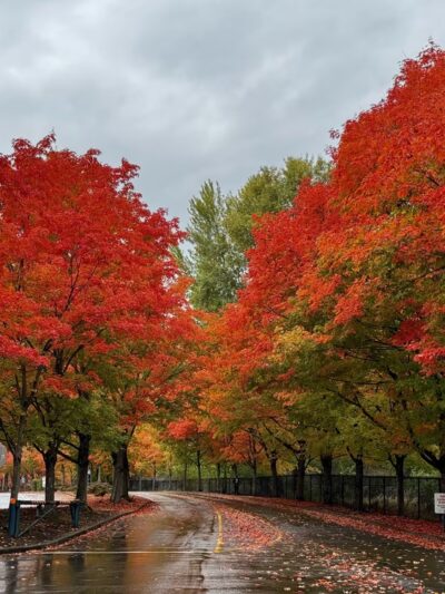 Gene Coulon Memorial Beach Park - Renton, WA