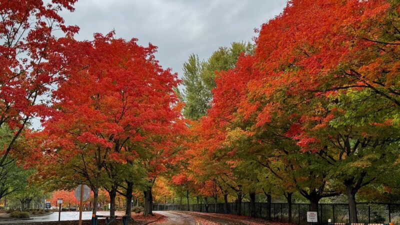 Gene Coulon Memorial Beach Park - Renton, WA