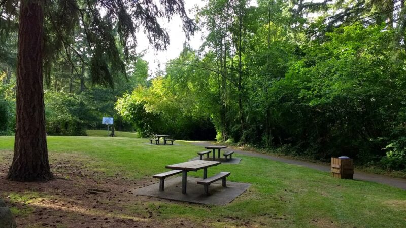 Maplewood Park - Renton, WA