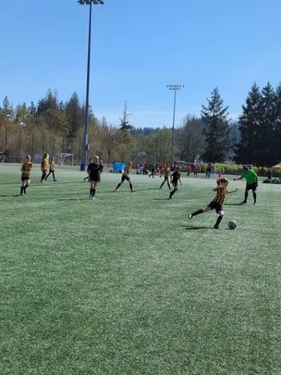 Petrovitsky Park - Renton, WA