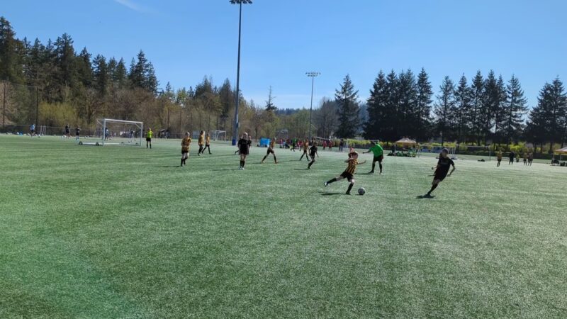 Petrovitsky Park - Renton, WA