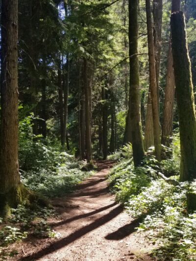 Renton Park - Renton, WA