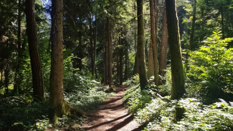 Renton Park - Renton, WA