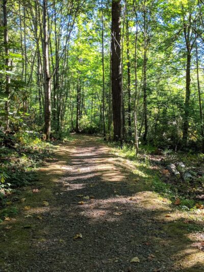 Renton Park - Renton, WA