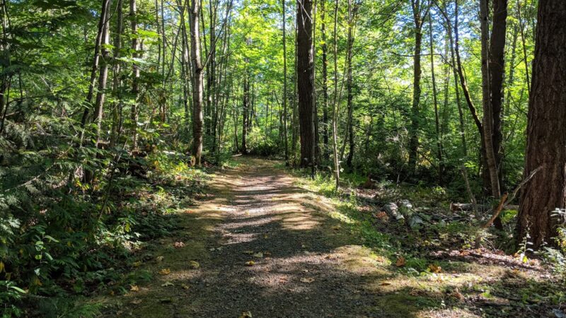 Renton Park - Renton, WA