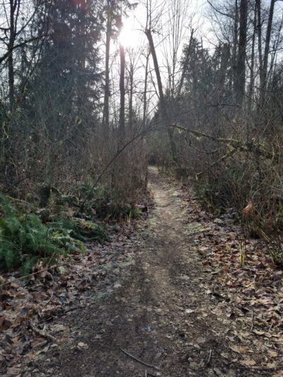 Renton Park - Renton, WA