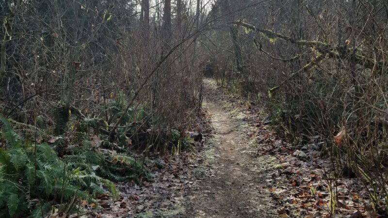 Renton Park - Renton, WA