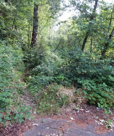 Renton Park - Renton, WA