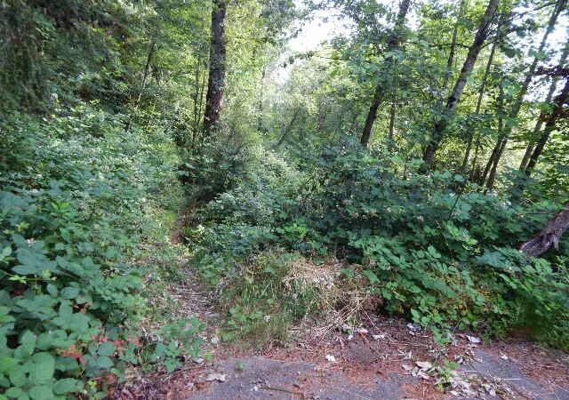 Renton Park - Renton, WA