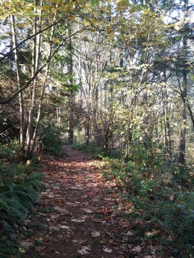 Windsor Hills Park - Renton, WA