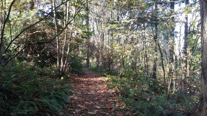 Windsor Hills Park - Renton, WA