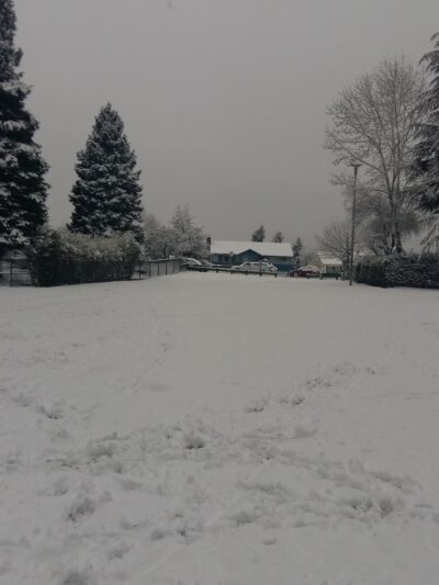 Windsor Hills Park - Renton, WA