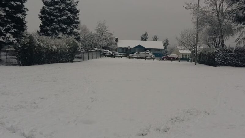 Windsor Hills Park - Renton, WA