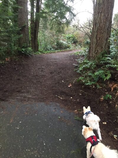 Windsor Hills Park - Renton, WA