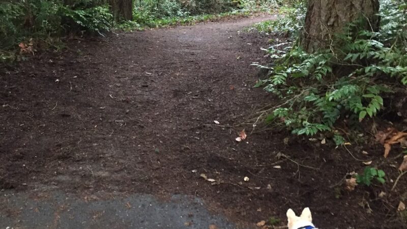 Windsor Hills Park - Renton, WA