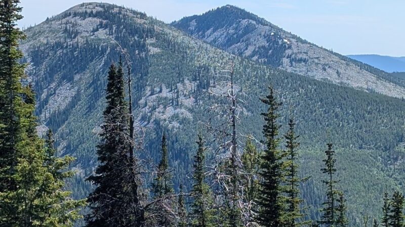 Columbia Mountain Loop Trail #24 - Republic, WA