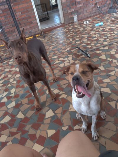 Send Rover Over - Reserve, LA