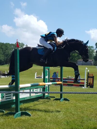 Bucks County Horse Park - Revere, PA