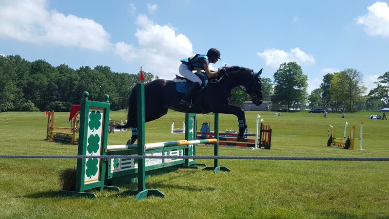 Bucks County Horse Park - Revere, PA