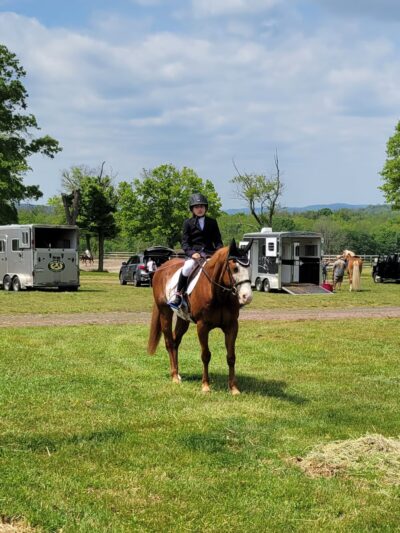 Bucks County Horse Park - Revere, PA