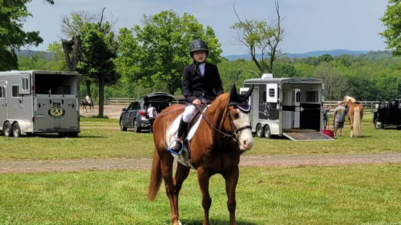 Bucks County Horse Park - Revere, PA