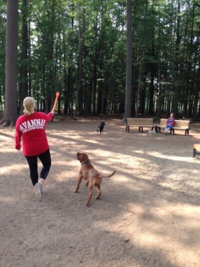 Shepard Dog Park - Rhinelander, WI