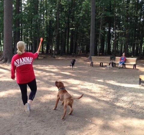 Shepard Dog Park - Rhinelander, WI