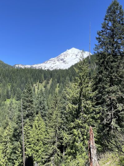 Burnt Lake Trailhead (North) - Rhododendron, OR