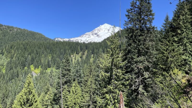 Burnt Lake Trailhead (North) - Rhododendron, OR