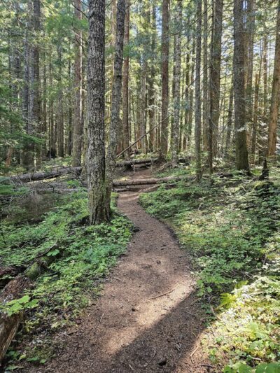 Burnt Lake Trailhead (North) - Rhododendron, OR