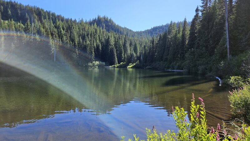 Burnt Lake Trailhead (North) - Rhododendron, OR