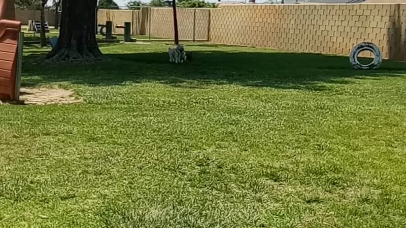 Andreson Park - Rialto, CA