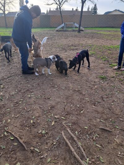 Andreson Park - Rialto, CA